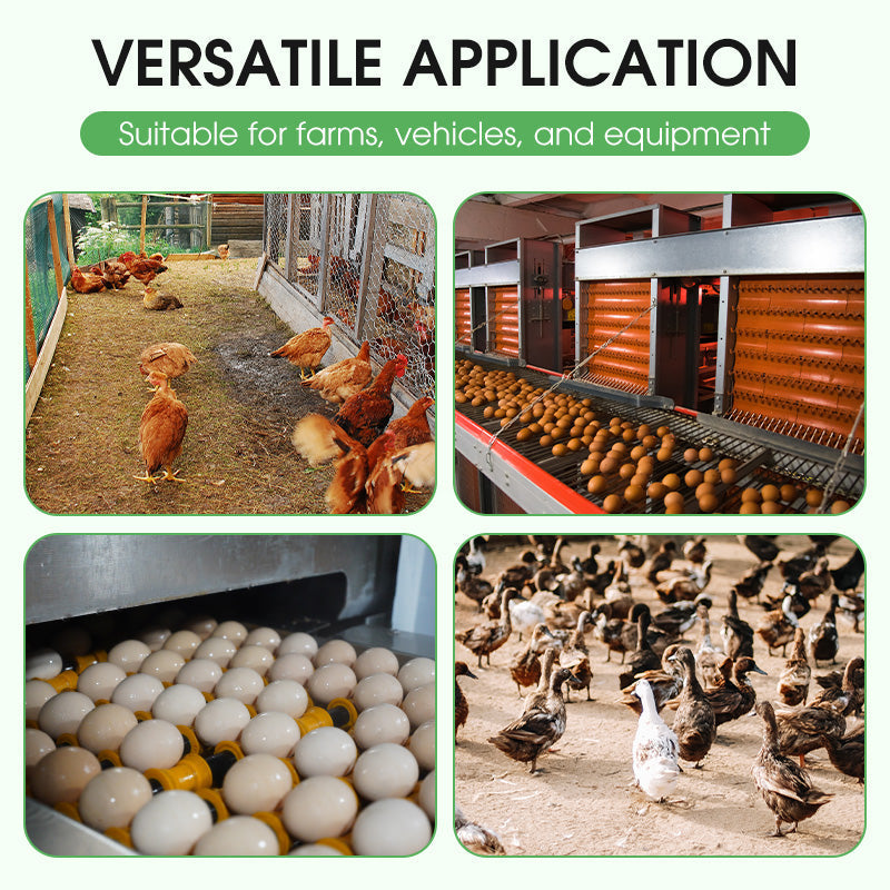 100 g disinfectant powder for poultry farms and equipmen