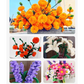 🥳2026 HOT SALE🥳💞50K+ SOLD!👵❤️ Simple Fun, Endless Satisfaction. The Perfect Starter for DIY Crafts & Decor.50% OFF! ✨ 🏠