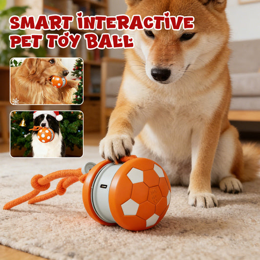 Smart Interactive Pet Toy Ball