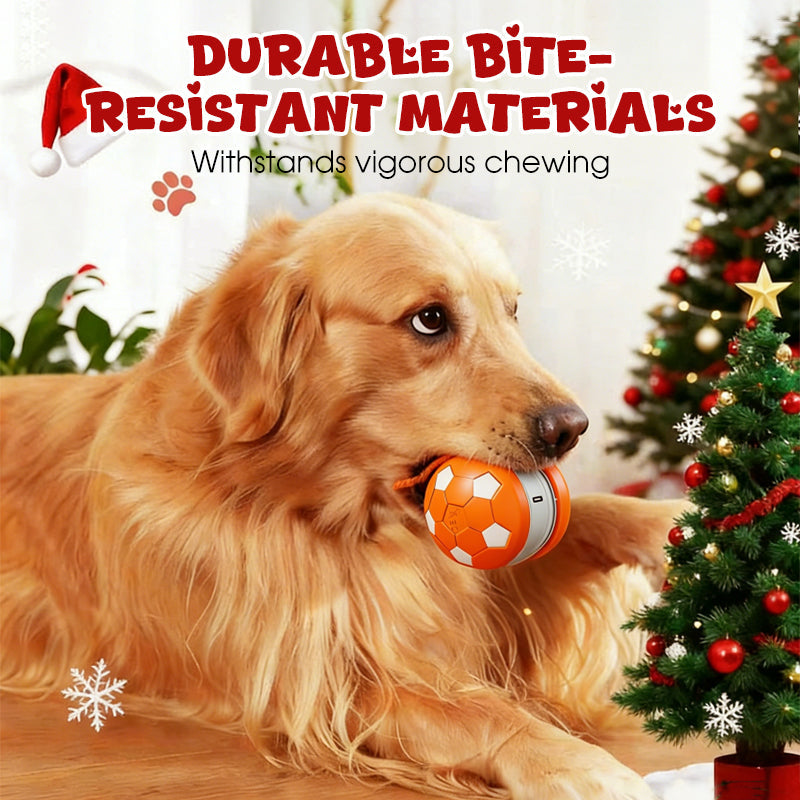 Smart Interactive Pet Toy Ball