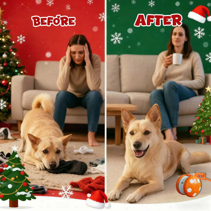 Smart Interactive Pet Toy Ball