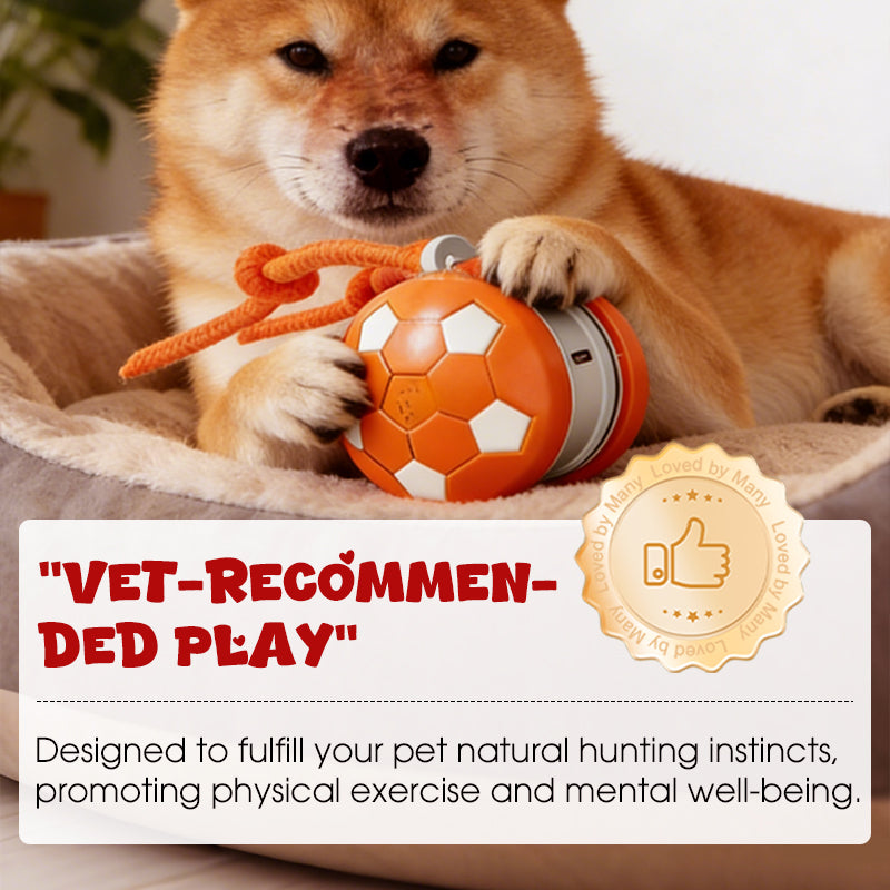 Smart Interactive Pet Toy Ball