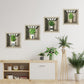 🌿🖼️ 2026 SALE | 50% OFF! Mini Gallery Wall Stickers - Potted Painting Decals