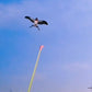 🥳2026 HOT SALE🥳💞50K+ SOLD!💥👨‍👦✨ The Perfect Outdoor Buddy for Family Fun |Outdoor Fishing Kite Set Makes Spring Memories 50% OFF🎣🪁