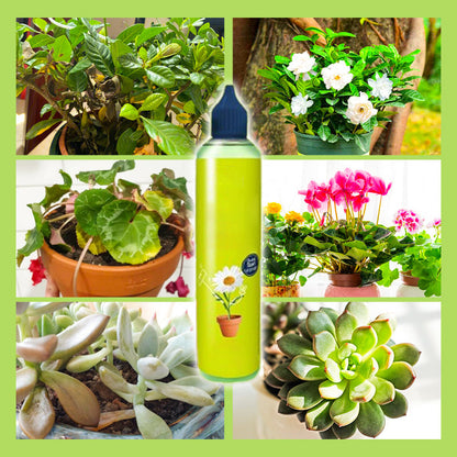 🥳2026 HOT SALE🥳💞50K+ SOLD!🌿【All-Purpose Indoor & Outdoor Plant Nutrient】—One bottle in hand, the world is yours!🌱🏡✨