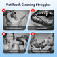 🥳2026 HOT SALE🥳💞50K+ SOLD!🧴✨ Flash Sale 50% Off! Pet Dental Care Spray – Fresh breath & healthy gums made easy. A simple spray for daily protection without the struggle. 🦷💚