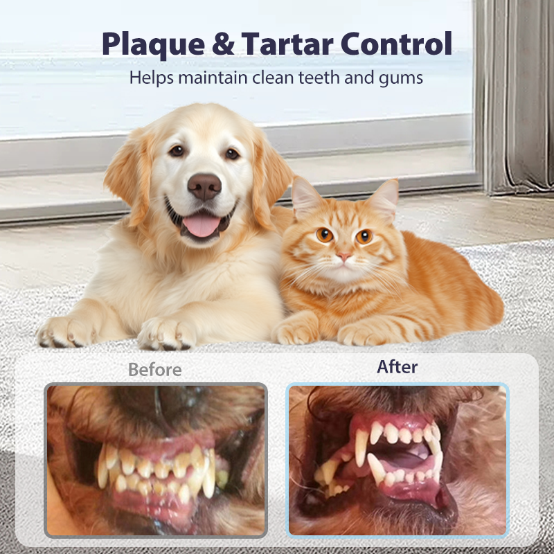 🥳2026 HOT SALE🥳💞50K+ SOLD!🧴✨ Flash Sale 50% Off! Pet Dental Care Spray – Fresh breath & healthy gums made easy. A simple spray for daily protection without the struggle. 🦷💚
