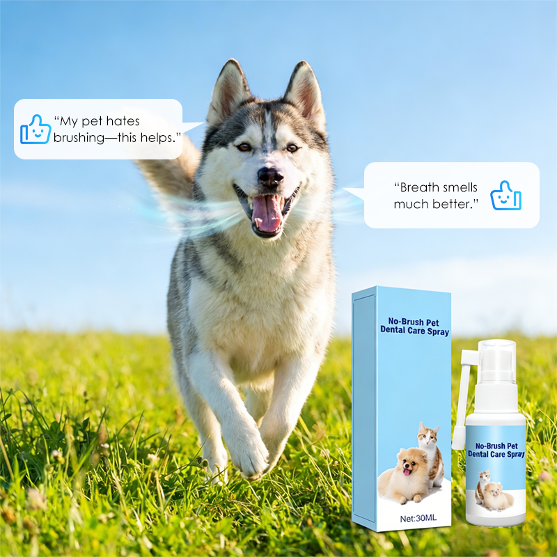 🥳2026 HOT SALE🥳💞50K+ SOLD!🧴✨ Flash Sale 50% Off! Pet Dental Care Spray – Fresh breath & healthy gums made easy. A simple spray for daily protection without the struggle. 🦷💚