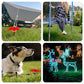 🥳2026 HOT SALE🥳💞50K+ SOLD!🏕️⚡ 50% OFF! 8″ Screw‑in Tent Stakes – Drill‑in design – set up camp in seconds, no hammering! Strong grip on grass, soil & gravel. Enjoy your beer sooner! 🍺✨