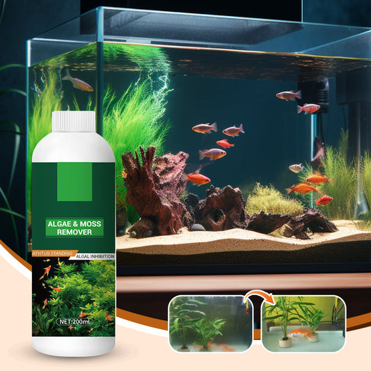 🥳2026 HOT SALE🥳💞50K+ SOLD!🐟🌿 50% OFF! Algae & Moss Remover – Safe for fish & plants, fast‑acting formula. Eliminates green water & moss without harming your aquatic life! 💧✨
