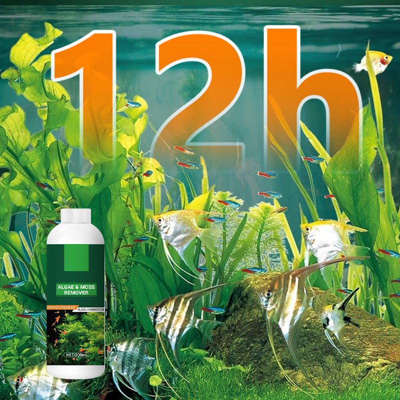 🥳2026 HOT SALE🥳💞50K+ SOLD!🐟🌿 50% OFF! Algae & Moss Remover – Safe for fish & plants, fast‑acting formula. Eliminates green water & moss without harming your aquatic life! 💧✨