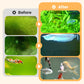 🥳2026 HOT SALE🥳💞50K+ SOLD!🐟🌿 50% OFF! Algae & Moss Remover – Safe for fish & plants, fast‑acting formula. Eliminates green water & moss without harming your aquatic life! 💧✨