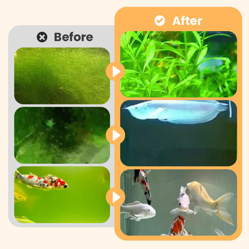🥳2026 HOT SALE🥳💞50K+ SOLD!🐟🌿 50% OFF! Algae & Moss Remover – Safe for fish & plants, fast‑acting formula. Eliminates green water & moss without harming your aquatic life! 💧✨