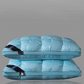 🥳2026 HOT SALE🥳💞50K+ SOLD!🛏️✨ 50% OFF! Washable Ergonomic Neck Pillow – Breathable 3D stitching & soft memory foam. Supports natural neck curve – perfect for side & back sleepers! 💤🌟
