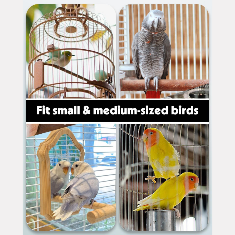 🥳2026 HOT SALE🥳💞50K+ SOLD!💥🐦✨ 50% OFF! 2-in-1 Bird Feeder & Waterer – Mess-free, secure lock, clear reservoir. Saves cage space, easy to clean. Fits 0.51"-0.75" bars. Happy pet, happy you! 🧼💧