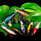 🥳2026 HOT SALE🥳💞50K+ SOLD!🌊🎣 50% OFF! Propeller Lure – Rotating cupped tail, dual‑loop head, 6 colors. Irresistible to picky fish! Your new secret weapon. 🏆💪