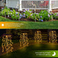 🥳2026 HOT SALE🥳💞50K+ SOLD!💥✨🌙 50% OFF! Solar Garden Lights – Creates warm, inviting glow for patios & yards. 8-10hrs illumination after full charge. Easy install, weatherproof. A beautiful touch to any outdoor space. 🏠💫