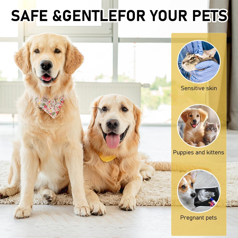 🥳2026 HOT SALE🥳💞50K+ SOLD! 🐶💨 50% OFF! Soothing Spray for Pets – Fast‑acting itch relief for hot spots, allergies & insect bites. Natural tea tree & lavender – safe for dogs & cats of all ages! 🛡️🐱