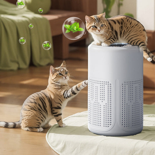 🥳2026 HOT SALE🥳💞50K+ SOLD!🏠💨 50% OFF! Compact Home Air Purifier – Quiet, energy‑saving. Traps dust & pet hair. Perfect for allergy sufferers. 🌬️✨