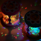 🥳2026 HOT SALE🥳💞50K+ SOLD!🌊🌙 50% OFF! Ocean Projection Rotating Musical Toy – Starry sea lights, calming lullabies & rotating ocean scene. Soothes baby to sleep & sparks wonder! 🎠✨