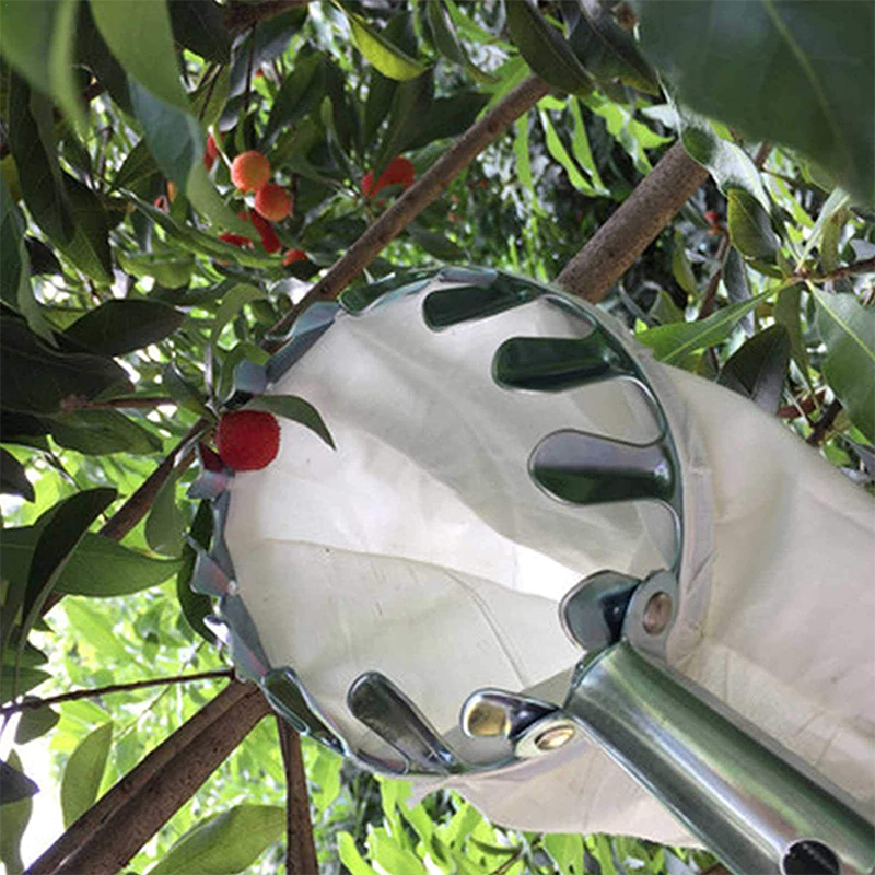 🥳2026 HOT SALE🥳💞50K+ SOLD! 🍎🌳 50% OFF! Fruit Picker Head Basket – no ladder needed, easy attach & reach high branches. Durable metal tines + nylon bag, pick apples, pears & more without damage! 🛡️💪
