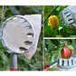 🥳2026 HOT SALE🥳💞50K+ SOLD! 🍎🌳 50% OFF! Fruit Picker Head Basket – no ladder needed, easy attach & reach high branches. Durable metal tines + nylon bag, pick apples, pears & more without damage! 🛡️💪