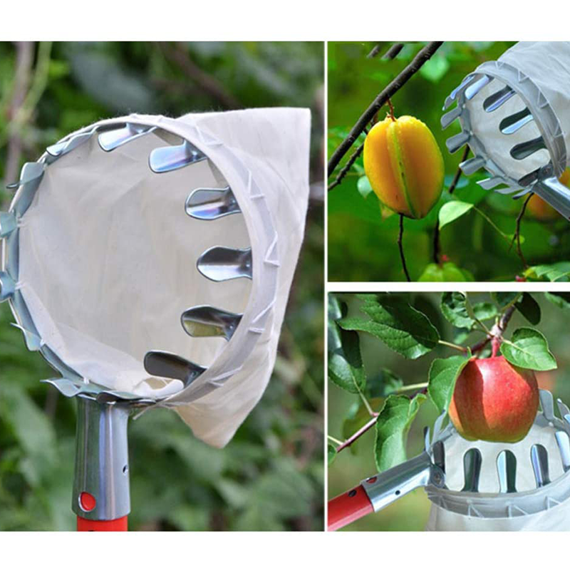 🥳2026 HOT SALE🥳💞50K+ SOLD! 🍎🌳 50% OFF! Fruit Picker Head Basket – no ladder needed, easy attach & reach high branches. Durable metal tines + nylon bag, pick apples, pears & more without damage! 🛡️💪