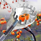 🥳2026 HOT SALE🥳💞50K+ SOLD! 🍎🌳 50% OFF! Fruit Picker Head Basket – no ladder needed, easy attach & reach high branches. Durable metal tines + nylon bag, pick apples, pears & more without damage! 🛡️💪