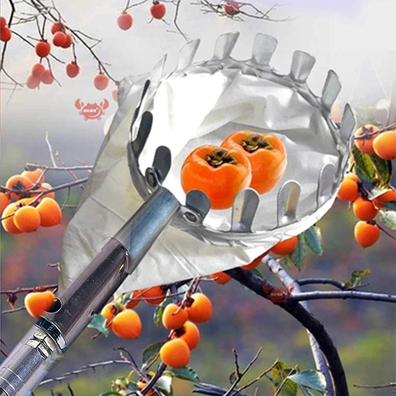 🥳2026 HOT SALE🥳💞50K+ SOLD! 🍎🌳 50% OFF! Fruit Picker Head Basket – no ladder needed, easy attach & reach high branches. Durable metal tines + nylon bag, pick apples, pears & more without damage! 🛡️💪