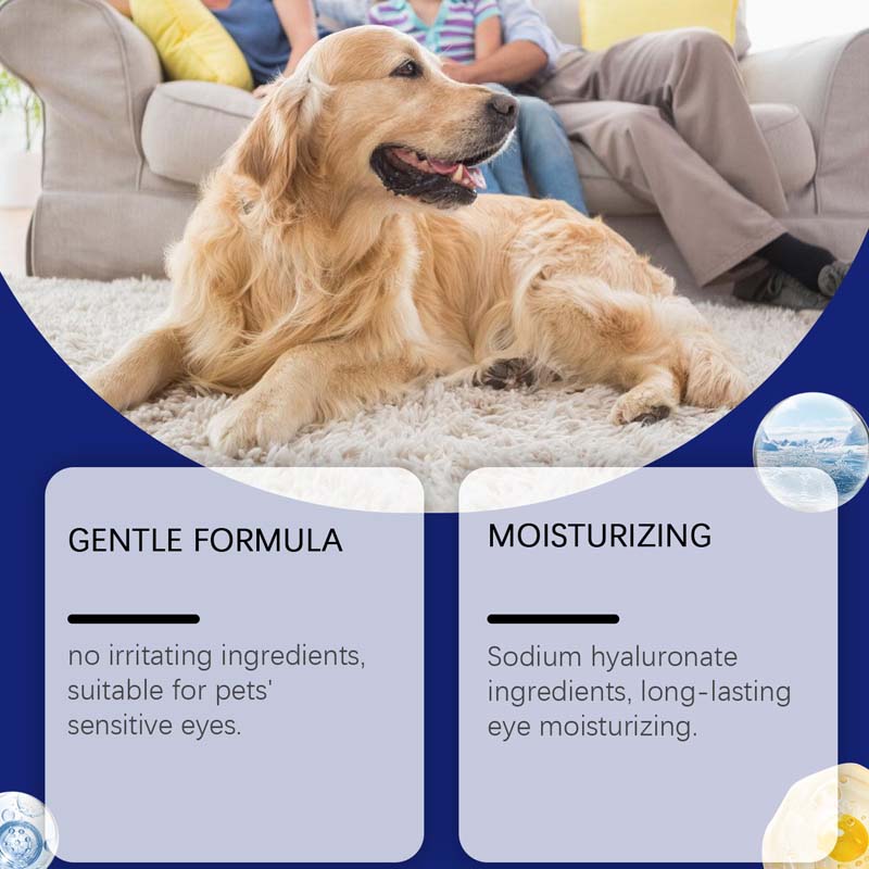 🥳2026 HOT SALE🥳💞50K+ SOLD!🧴💧 50% OFF! Gentle Pet Eye Drops – Portable & easy to use. Prevents tear stains, washes away debris. For dogs & cats. A must‑have for every pet owner. 🛡️🌿