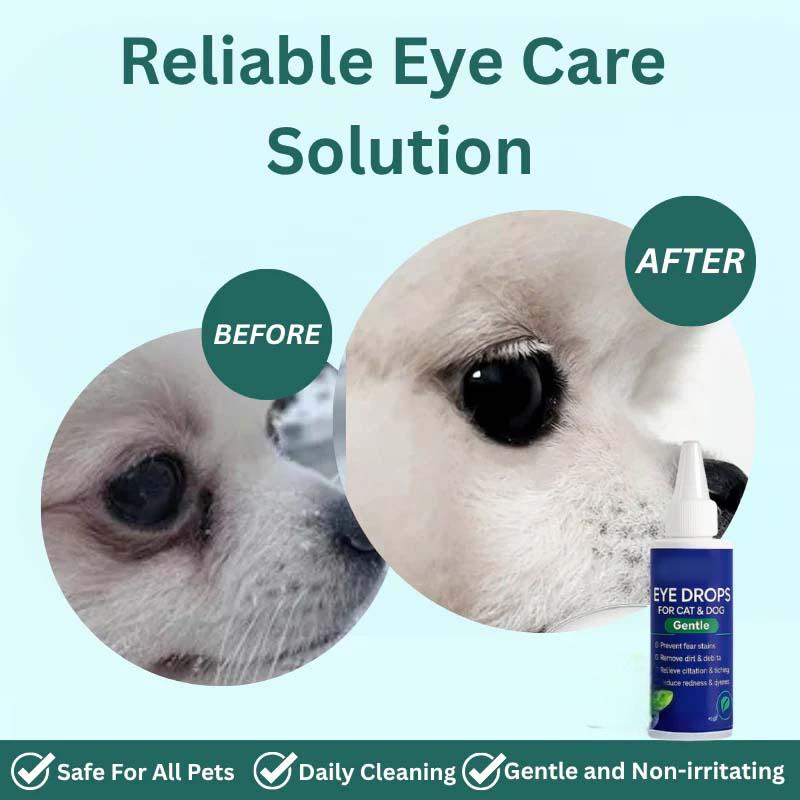 🥳2026 HOT SALE🥳💞50K+ SOLD!🧴💧 50% OFF! Gentle Pet Eye Drops – Portable & easy to use. Prevents tear stains, washes away debris. For dogs & cats. A must‑have for every pet owner. 🛡️🌿
