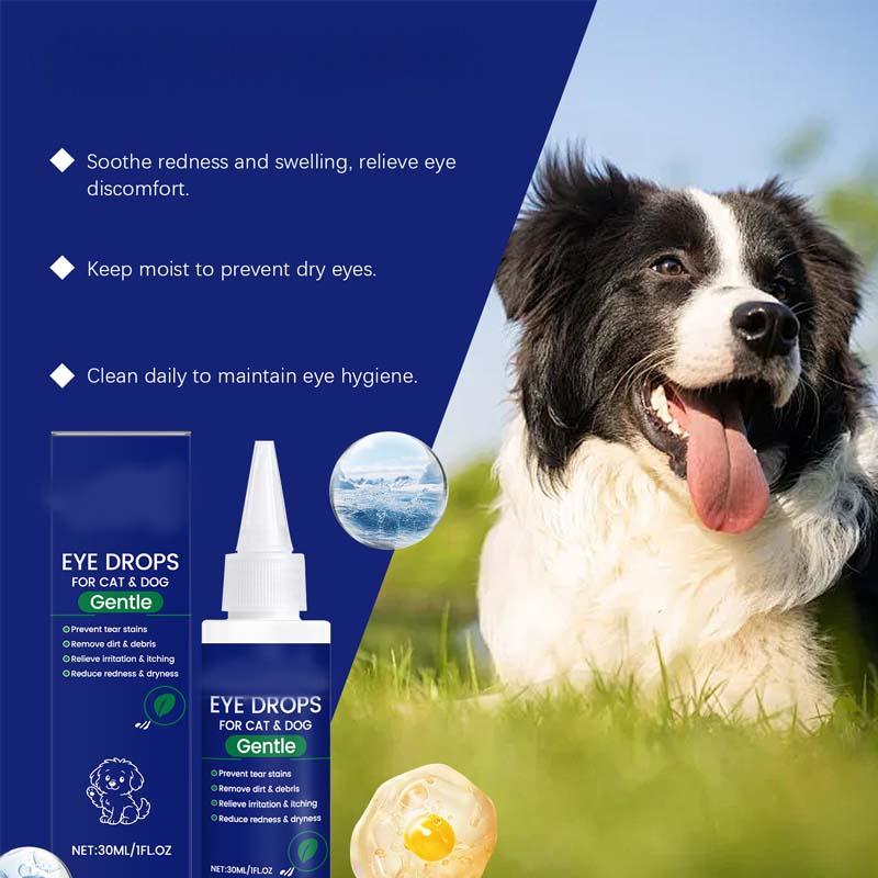 🥳2026 HOT SALE🥳💞50K+ SOLD!🧴💧 50% OFF! Gentle Pet Eye Drops – Portable & easy to use. Prevents tear stains, washes away debris. For dogs & cats. A must‑have for every pet owner. 🛡️🌿