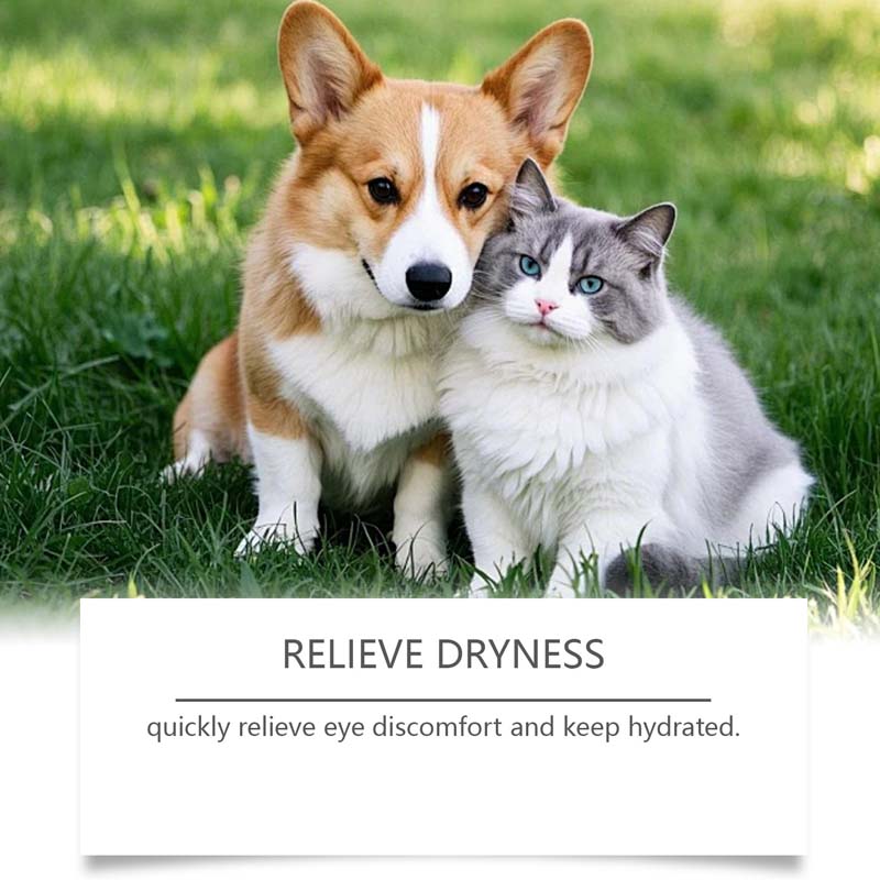 🥳2026 HOT SALE🥳💞50K+ SOLD!🧴💧 50% OFF! Gentle Pet Eye Drops – Portable & easy to use. Prevents tear stains, washes away debris. For dogs & cats. A must‑have for every pet owner. 🛡️🌿