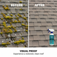🥳2026 HOT SALE🥳💞50K+ SOLD!🏠✨ 50% OFF! Multi‑Surface Roof Moss Cleaner – Kills moss & algae on contact, prevents regrowth. No scrubbing, just spray & rinse – save on costly roof repairs! 🌧️🛡️