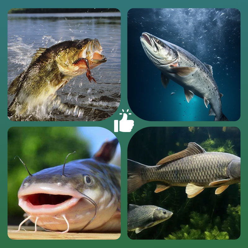 🥳2026 HOT SALE🥳💞50K+ SOLD!🎣🌊 50% OFF! High Buoyancy Floating Ball Fishing Hook – Floats at perfect depth, bright colour attracts more bites. Sharp high‑carbon steel. A game‑changer for anglers! 🐟✨