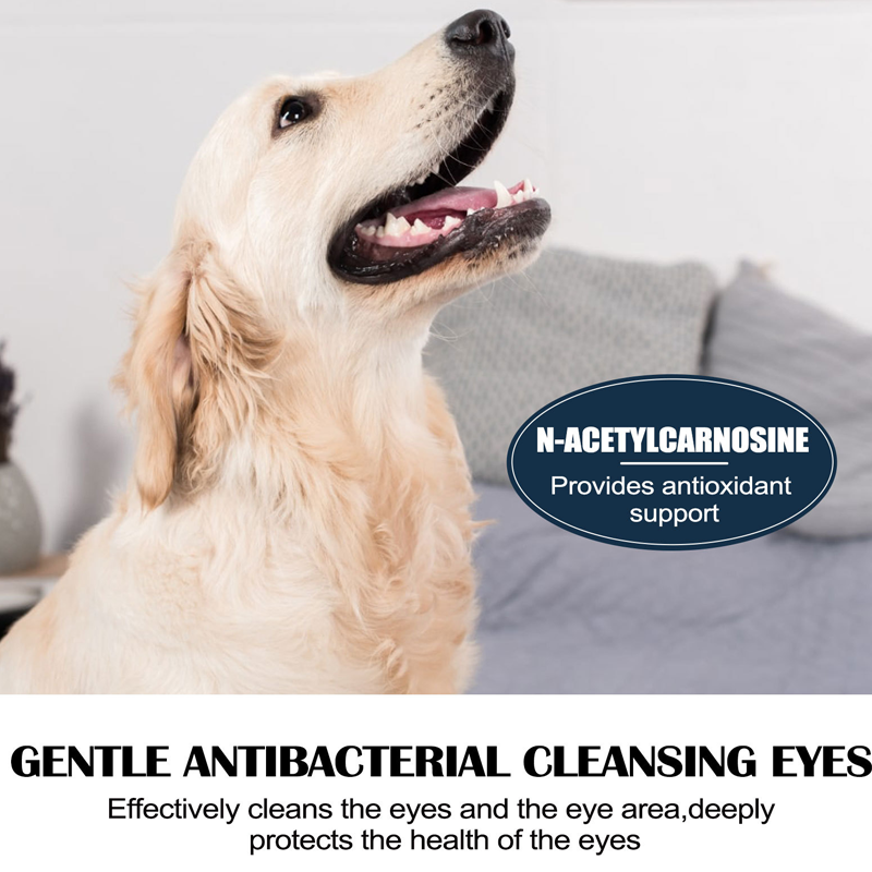 🥳2026 HOT SALE🥳💞50K+ SOLD!🐶🐱50% OFF! Soothing Eye Drops for Pets – Relieves dryness & redness. Removes tear stains gently. Easy drop application. Keep your pet‘s eyes bright & comfortable. 🌟🦴