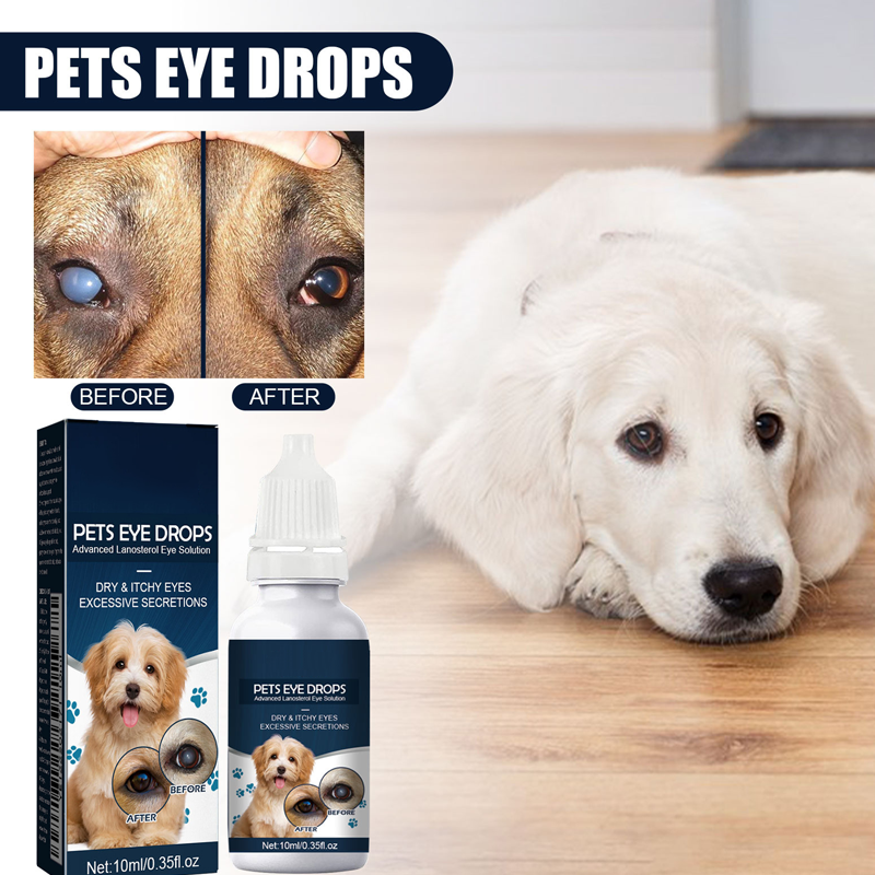 🥳2026 HOT SALE🥳💞50K+ SOLD!🐶🐱50% OFF! Soothing Eye Drops for Pets – Relieves dryness & redness. Removes tear stains gently. Easy drop application. Keep your pet‘s eyes bright & comfortable. 🌟🦴