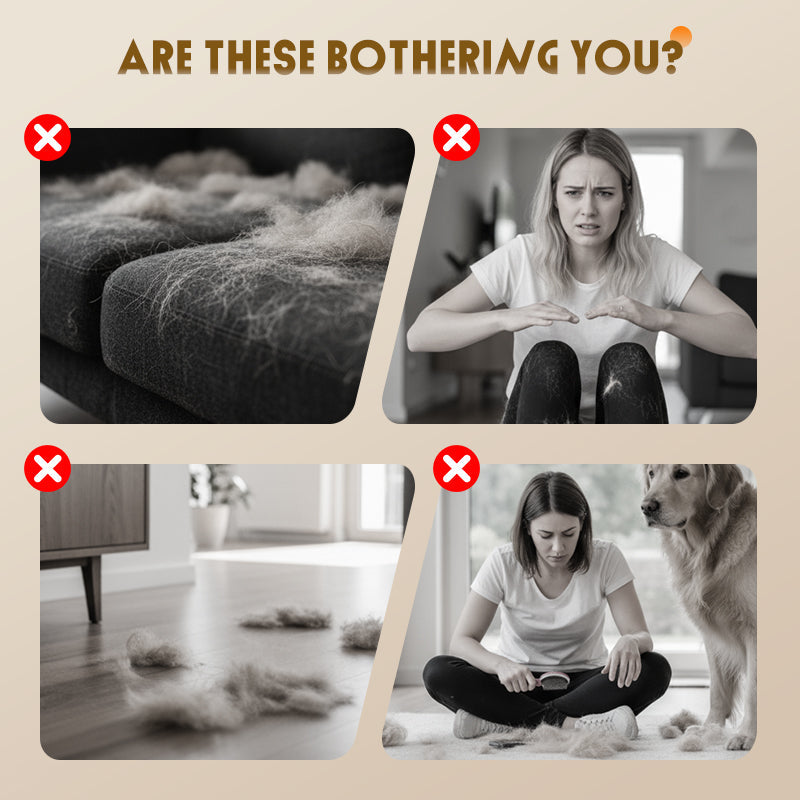 🥳2026 HOT SALE🥳💞50K+ SOLD!🐕✨ 50% OFF! All-in-One Pet Grooming Vacuum Kit – Suction collects 99% of loose fur while you brush. 2.5L dustbin, ultra‑quiet (<65dB). Save on groomers, keep your home clean. A stress‑free grooming solution! 🧹💚