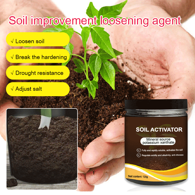 🥳SUMMER HOT SALE🥳💞50K+ SOLD!🔥Soil Activated Treasure-You Will Be Amazed!