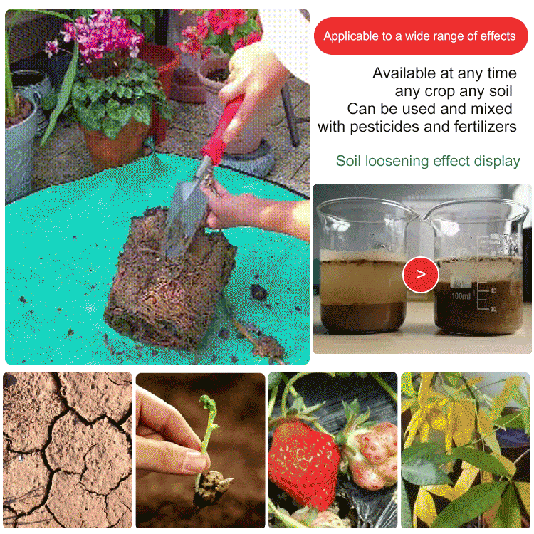 🥳SUMMER HOT SALE🥳💞50K+ SOLD!🔥Soil Activated Treasure-You Will Be Amazed!