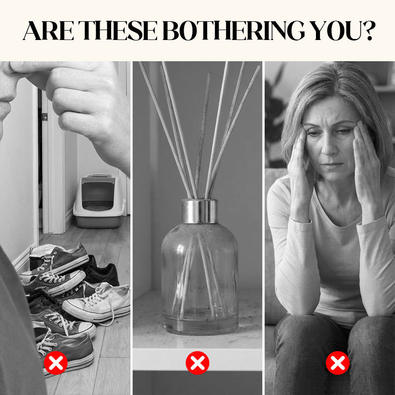 🥳2026 HOT SALE🥳💞50K+ SOLD!🏠🌸 50% OFF! Home Fragrance Diffuser – Eliminates odours in minutes. Elegant glass design, long‑lasting freshness. 😌🌼