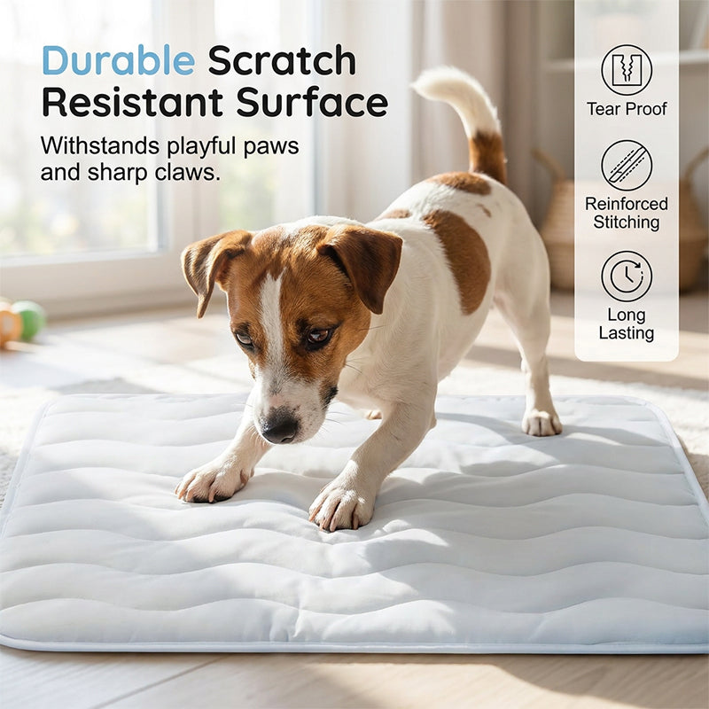 🥳2026 HOT SALE🥳💞50K+ SOLD!❄️🧊 50% OFF! Pet Cooling Mat – No water or electricity, instant relief. Cools up to 8°C, vet‑recommended. Machine washable & portable. Keep your pet cool! 🌿✨
