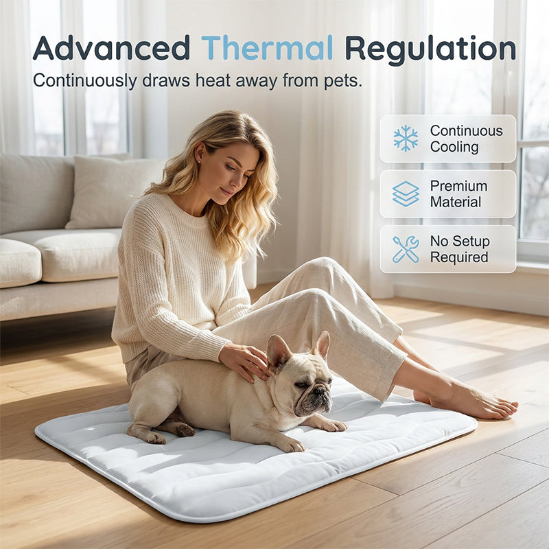 🥳2026 HOT SALE🥳💞50K+ SOLD!❄️🧊 50% OFF! Pet Cooling Mat – No water or electricity, instant relief. Cools up to 8°C, vet‑recommended. Machine washable & portable. Keep your pet cool! 🌿✨