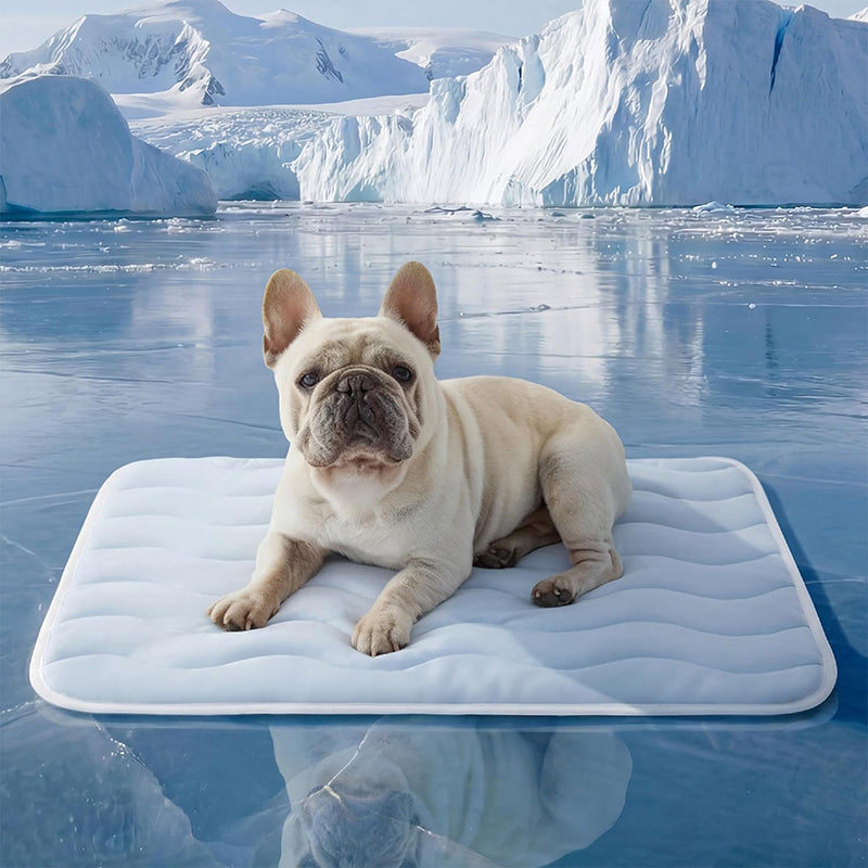 🥳2026 HOT SALE🥳💞50K+ SOLD!❄️🧊 50% OFF! Pet Cooling Mat – No water or electricity, instant relief. Cools up to 8°C, vet‑recommended. Machine washable & portable. Keep your pet cool! 🌿✨