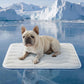 🥳2026 HOT SALE🥳💞50K+ SOLD!❄️🧊 50% OFF! Pet Cooling Mat – No water or electricity, instant relief. Cools up to 8°C, vet‑recommended. Machine washable & portable. Keep your pet cool! 🌿✨
