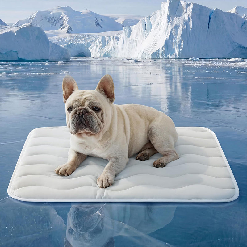 🥳2026 HOT SALE🥳💞50K+ SOLD!❄️🧊 50% OFF! Pet Cooling Mat – No water or electricity, instant relief. Cools up to 8°C, vet‑recommended. Machine washable & portable. Keep your pet cool! 🌿✨