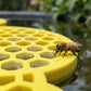 🥳2026 HOT SALE🥳💞50K+ SOLD!🐝🦋 50% OFF! Safe Floating Feeder for Bees & Butterflies – Honeycomb texture, bright yellow, non‑sink design. Save thirsty pollinators. A garden hero! 💧🌼