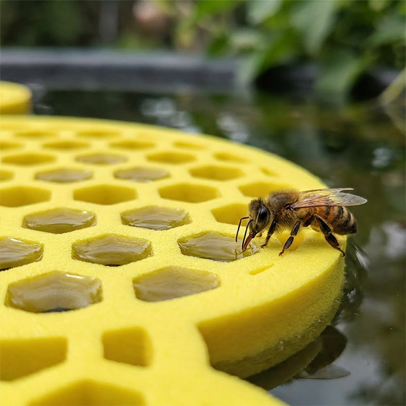 🥳2026 HOT SALE🥳💞50K+ SOLD!🐝🦋 50% OFF! Safe Floating Feeder for Bees & Butterflies – Honeycomb texture, bright yellow, non‑sink design. Save thirsty pollinators. A garden hero! 💧🌼