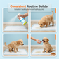 🥳2026 HOT SALE🥳💞50K+ SOLD!🐶🚽 50% OFF! Potty Training Spray – Natural inducer, fast habit builder. Apply & teach pets where to go. No more mess indoors! 🌿✨