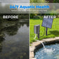 🥳2026 HOT SALE🥳💞50K+ SOLD!☀️🐟 50% OFF! Solar Pond Aerator – Sun‑powered, no wiring. Boosts oxygen for fish & plants. Clean water, happy pond! 🌿✨